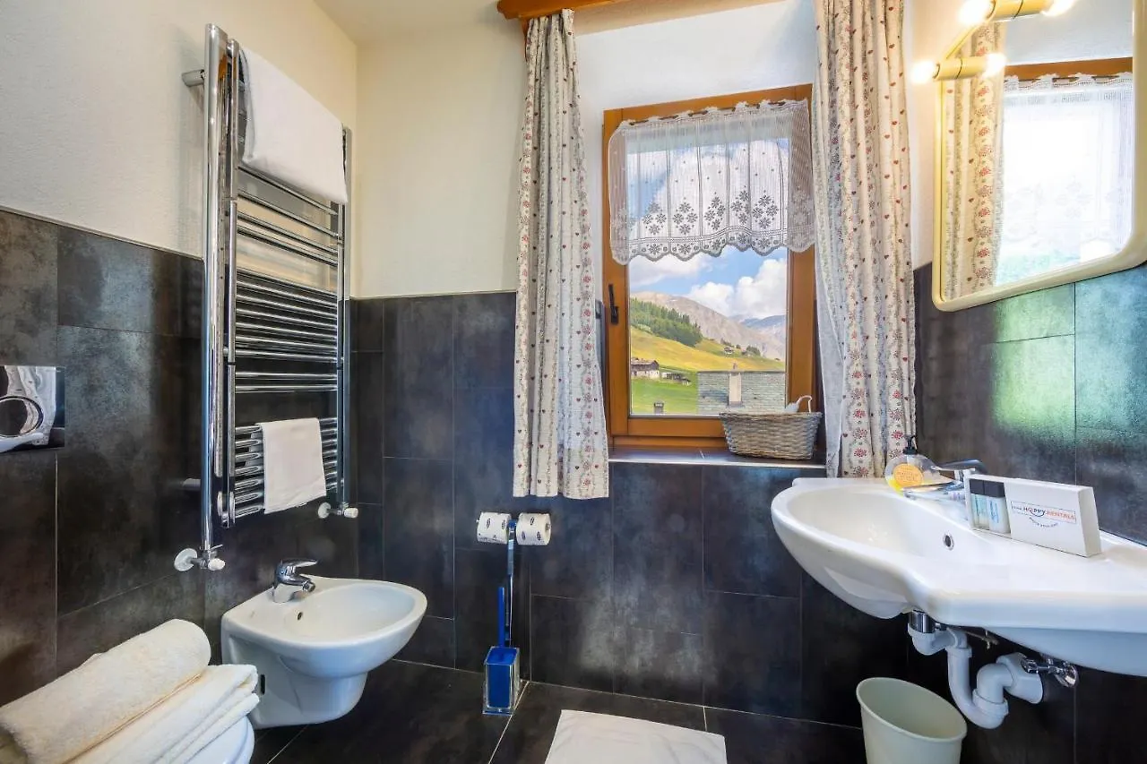 Apartment Casa Silvia Ski In - Happy Rentals Livigno
